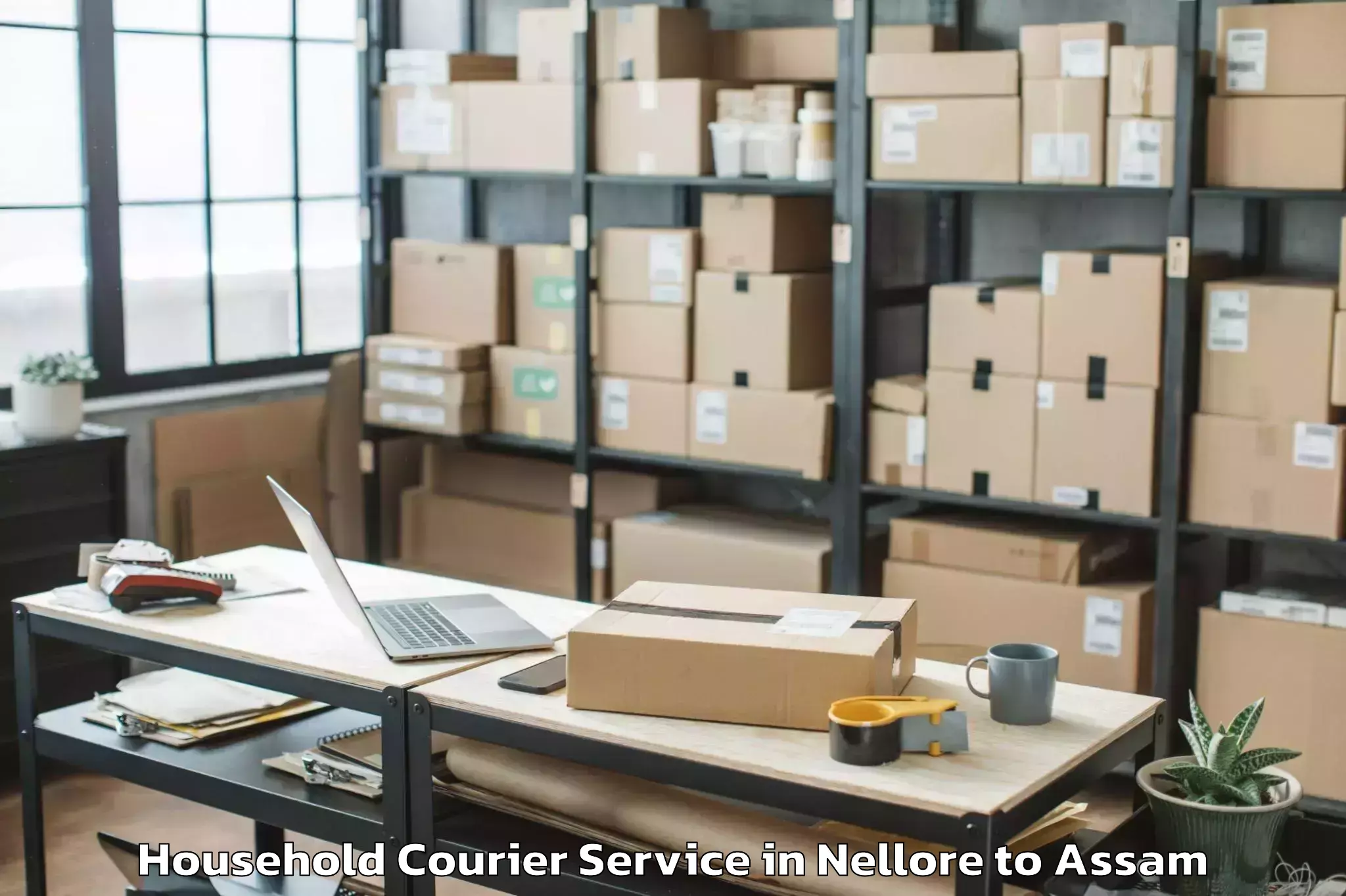 Book Nellore to Raha Gaon Household Courier Online